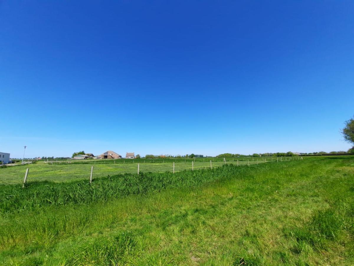 Ztlnd Familylodge Zoutelande Exteriör bild